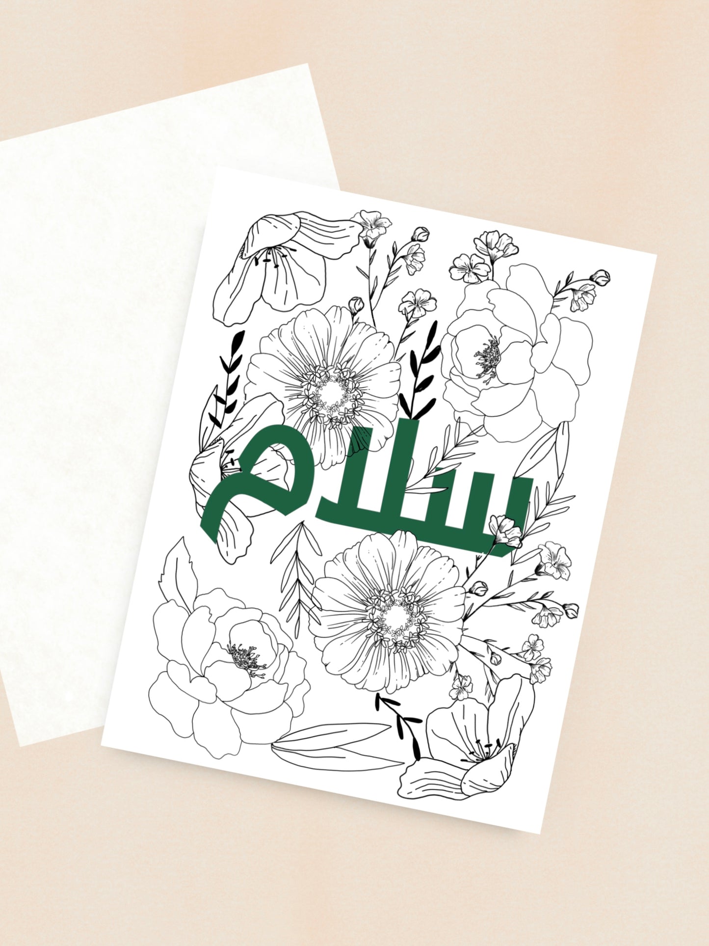 Variety Pack: Multi-Occasion Greeting Cards